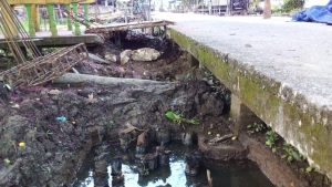 Proyek Pembangunan Jerambah Beton di Nipah Panjang, Diduga Menggunakan Kayu Mangrove