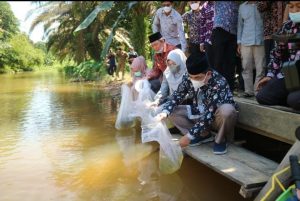 Hari Lingkungan Hidup Sedunia, Bupati Tabur Benih Ikan di Desa Suban